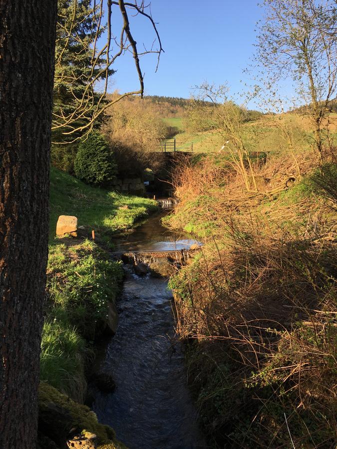 Ferienwohnung Richtermuehle Saupsdorf Zewnętrze zdjęcie